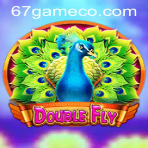 DoubleFly: A Comprehensive Guide to the New 67 Game